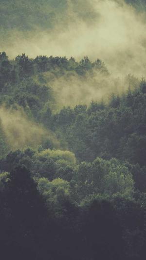 caro赖赖黑料截图3